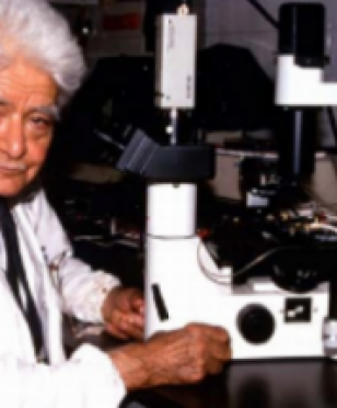 Metodo di bella 586x344 400x215 Metodo di bella 586x344 400x215